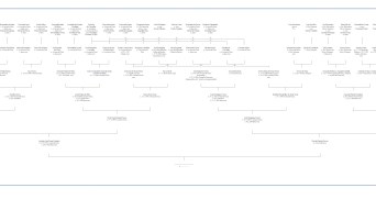imagem post LMT Consultores em História e Património elabora árvores genealógicas para encontro de família