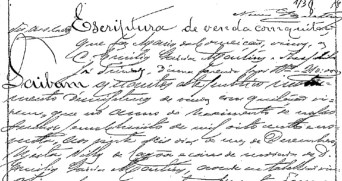 imagem post LMT Consultores em História e Património revê a transcrição de manuscritos para instrução de acção de reconhecimento de propriedade privada